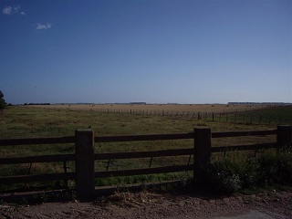 Tres Arroyos - Cor. Dorrego (1)
